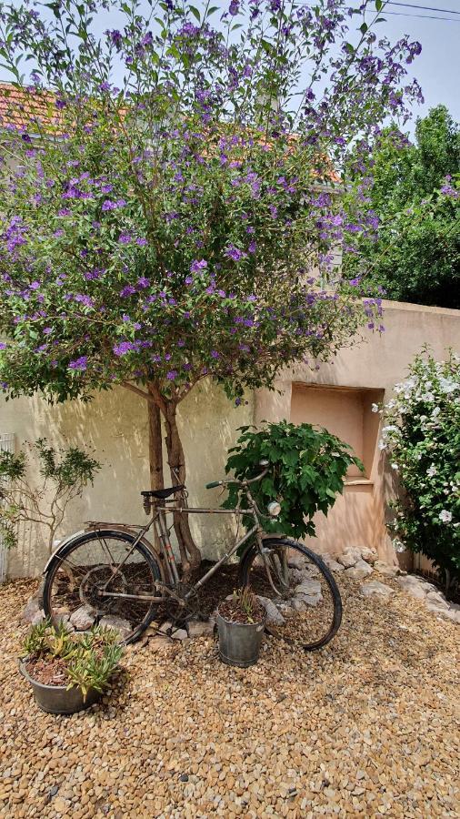 Gites "Tout Au Sud De La France" Pomérols Exterior foto
